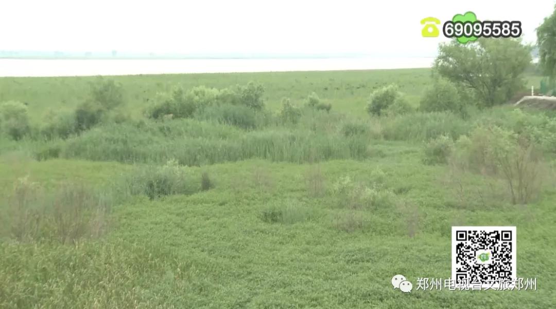 说郑州话,郑州大美惠济区