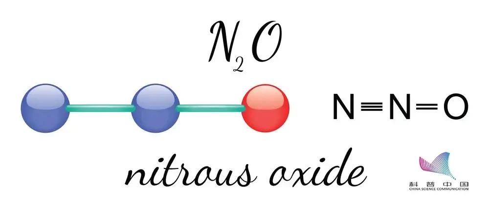 笑里藏毒今日说法,笑里藏毒完整版