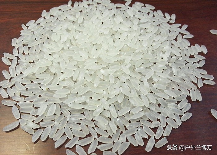 野钓打窝怎么用五谷杂粮做钓饵,如何用大米和酒制作钓鱼打窝饵料