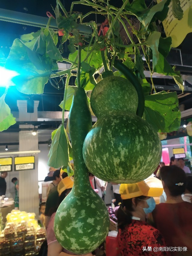 宜家生活超市开业,绿航超市