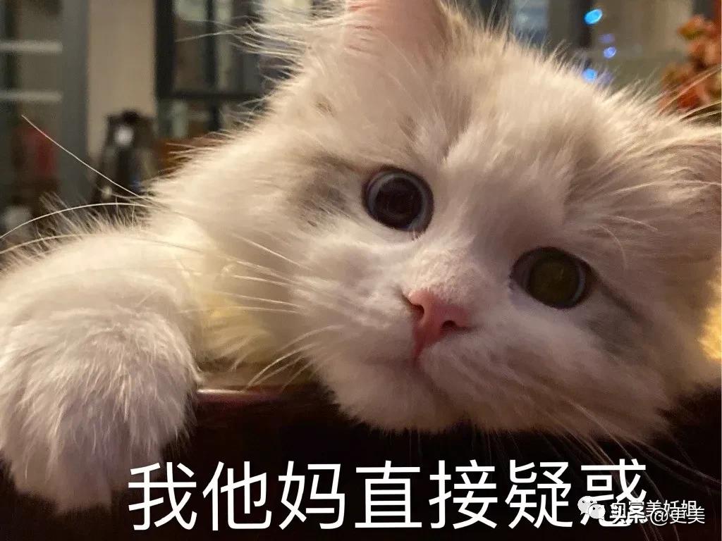 上海滩第1富二代,被王思聪撕最惨的女星