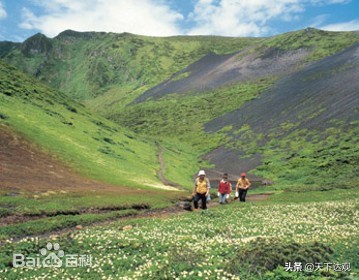 日本秋田县三大特产,秋田县