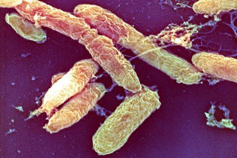 科普向——战“疫”进行时！三分钟看完世界病毒发现史！