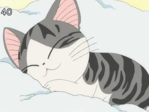 盘点二次元猫咪 (可爱二次元猫咪大全)