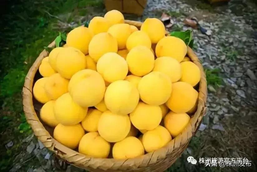 大家好，我叫炎陵，这是我的自我介绍，我想让你更懂我