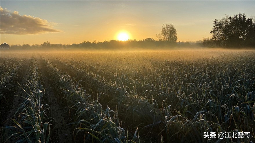 muse设计奖是不是很容易得到,musedesignawards