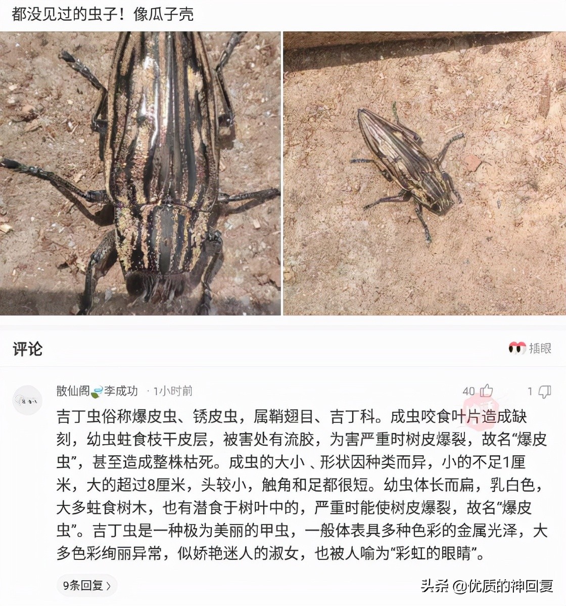 “女友的爸爸让我二选一，看到网友的神评，我果断出击！”哈哈哈