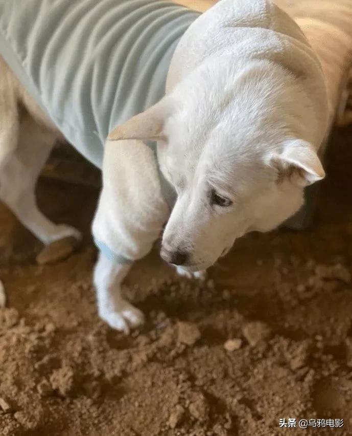 b站必看的综艺,b站能看的综艺推荐