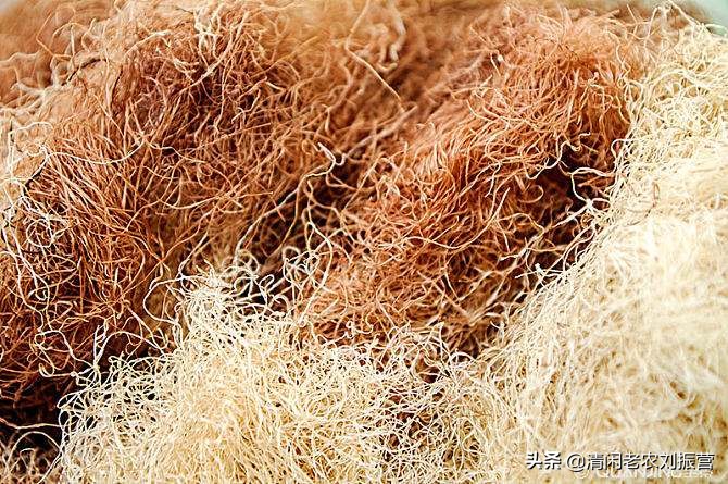 玉米须煮水喝有益处，有人拿来卖钱，是很好的扶贫创业项目