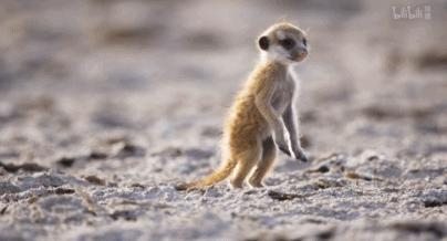 豆瓣评分9.5以上的国产电影有哪些,十部顶级神片推荐