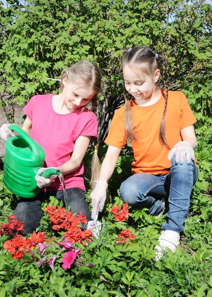 种植花卉怎么浇水最好,花卉种植如何浇水视频教程