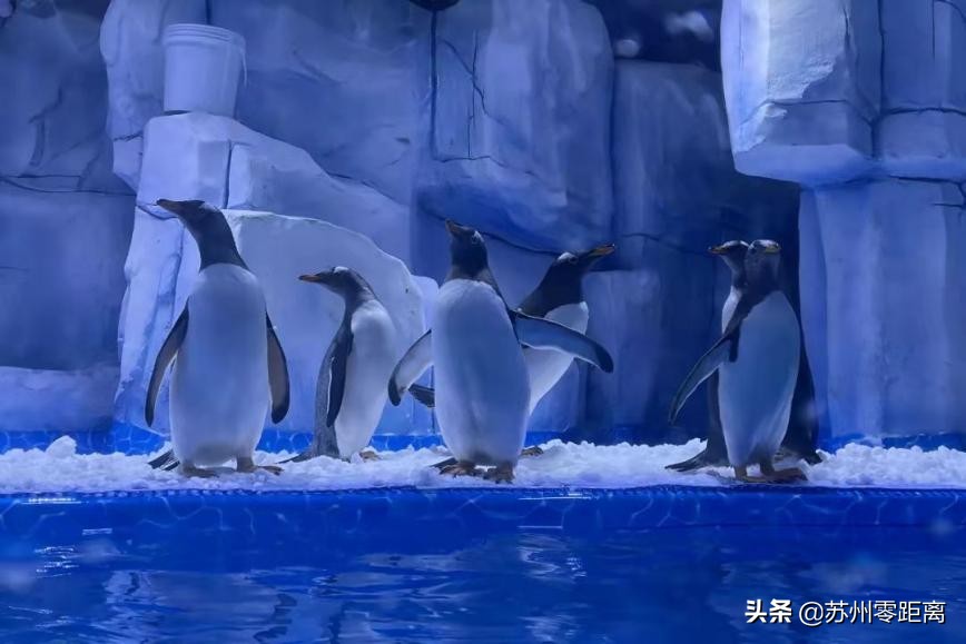 苏州宝藏级小公园,苏州吴国宝藏