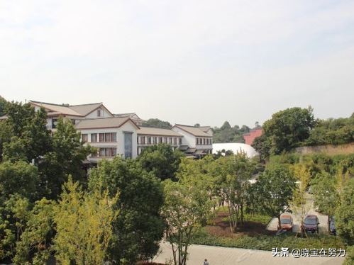 杭州市五星级酒店,杭州市钱塘新区河庄哥顿酒店