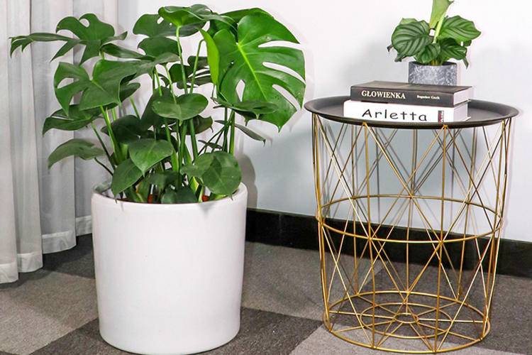 空调房“补水”计划，既要温度又要湿度，做好3点保湿效果杠杠的