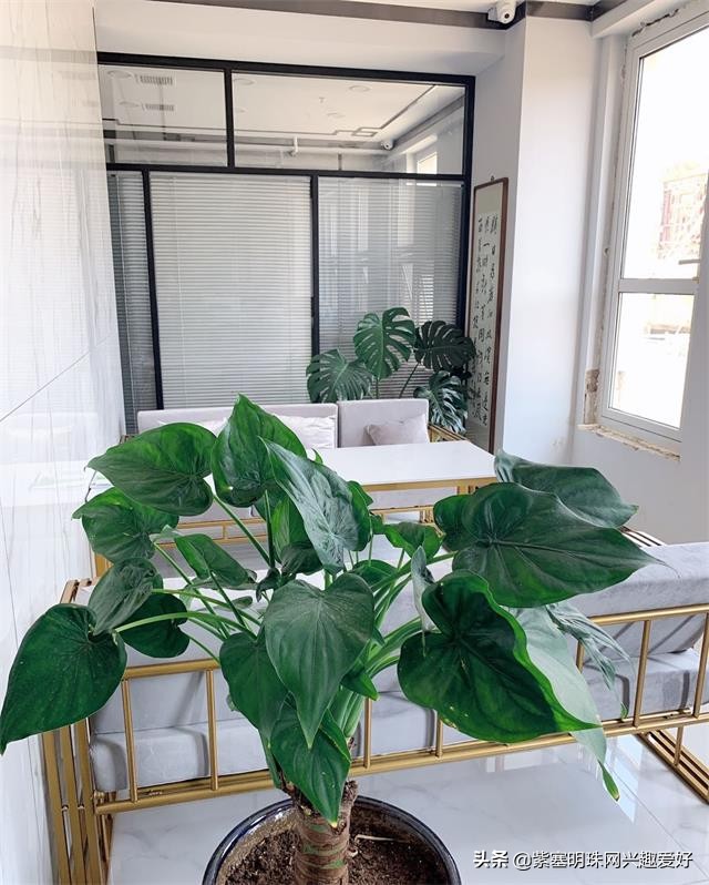 承德易尚装饰公司,承德易尚国际装饰公司怎么样