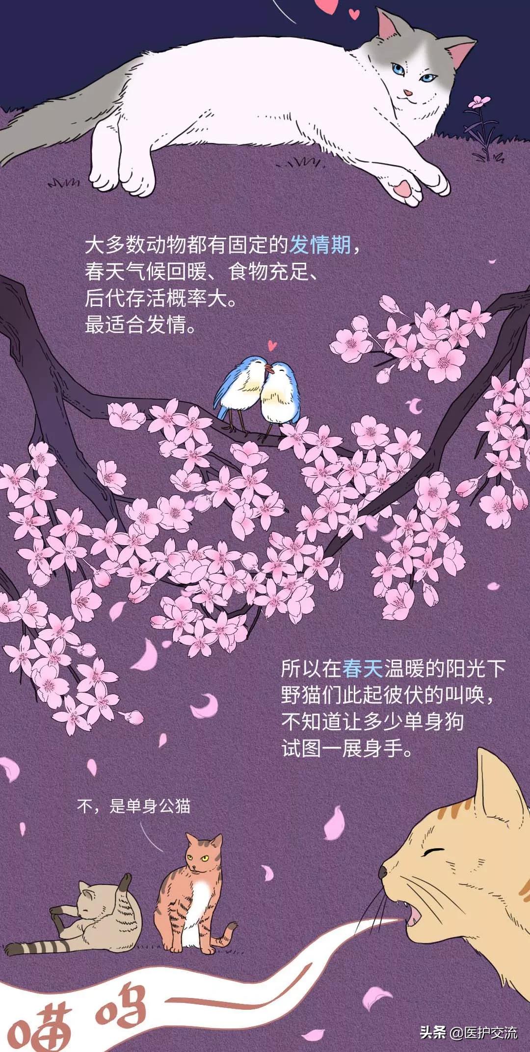 人类为什么一天当中要睡10个小时,为什么人类天天打架