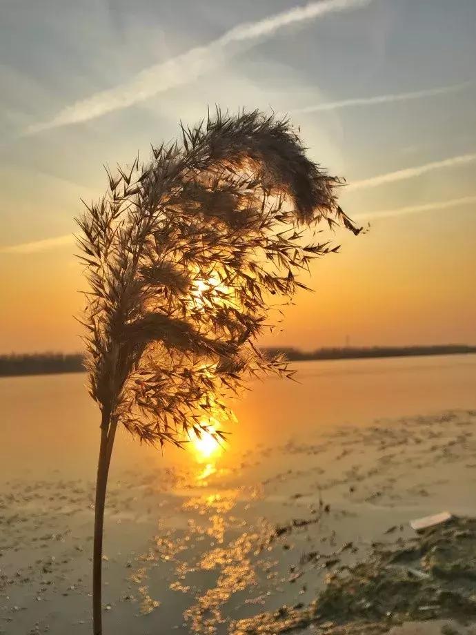 外地人去天津一般去哪里玩攻略,外地人天津春节游玩去处