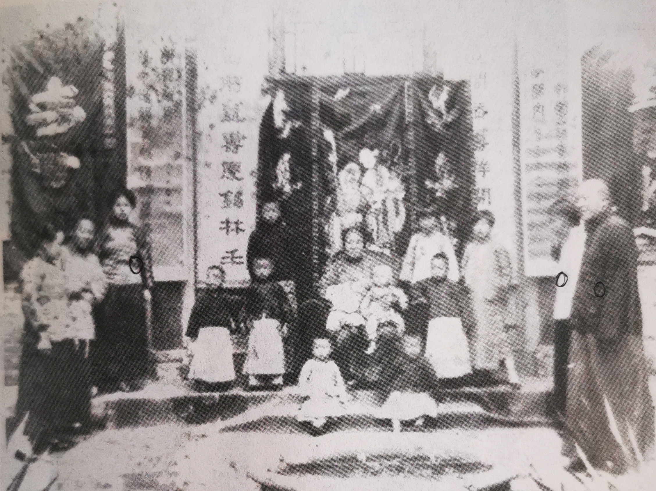 杨虎城一共有几个儿女,杨虎城的遗孀张蕙兰