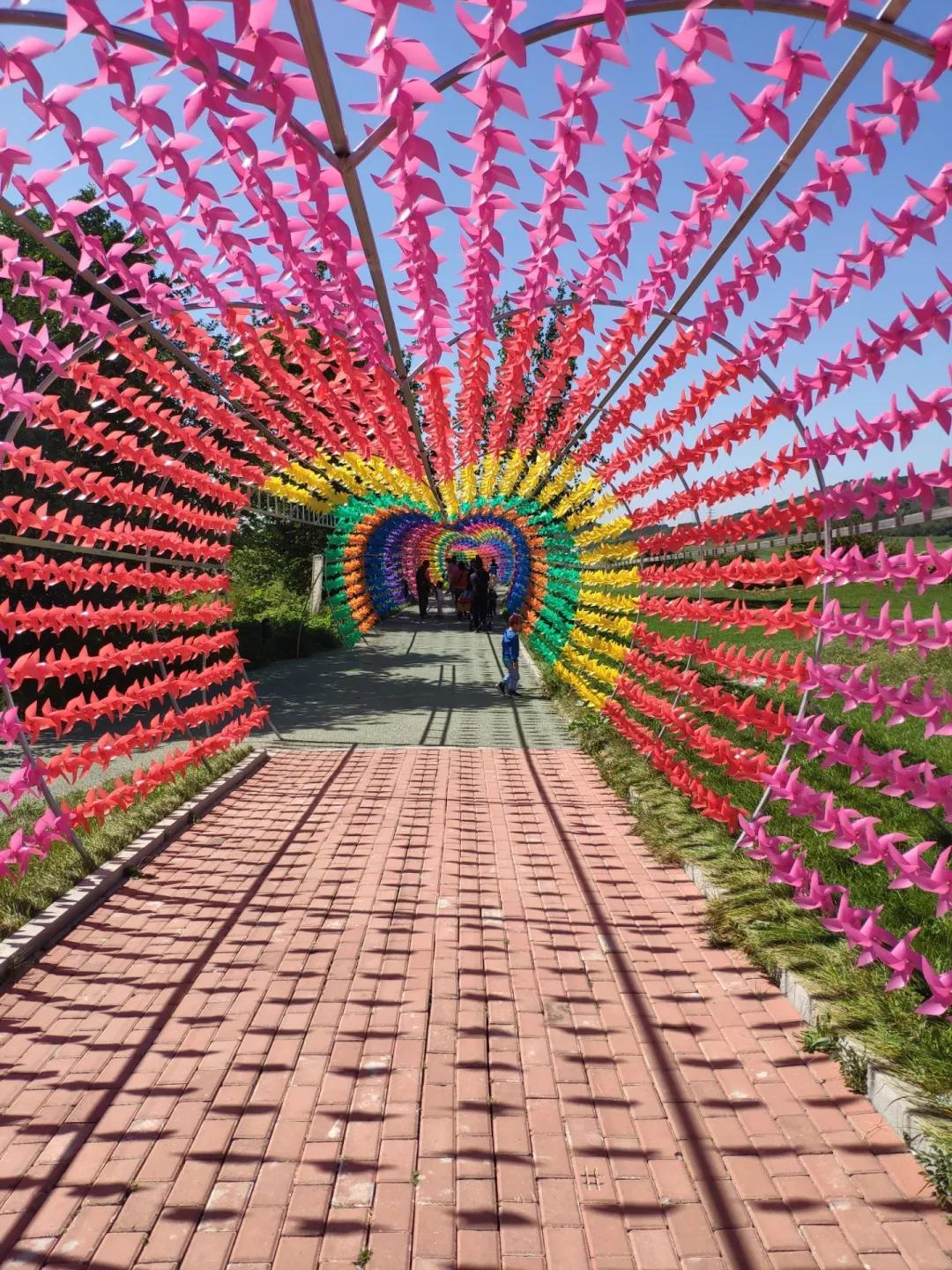 大连旅游攻略精致景点推荐,大连必去的打卡景点