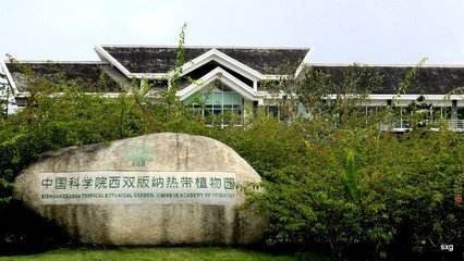 云南有哪些医学研究生院校容易考,云南有什么院校招研究生