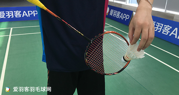 男单世界前10御用球拍,谌龙历代球拍