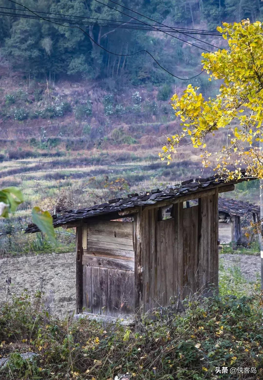 侠客岛:乡愁里的中国