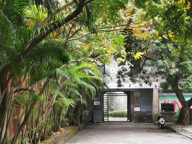 山区农民怎么走上致富路,山区有什么致富项目