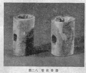 咸阳秦墓发掘全过程,秦墓发掘纪实全集