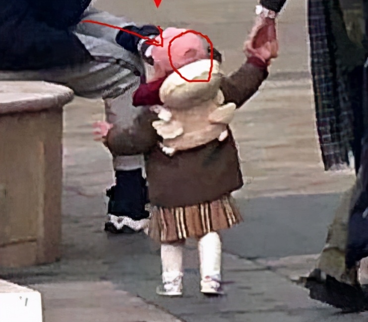 撒贝宁龙凤胎全身照,撒贝宁龙凤胎首曝光