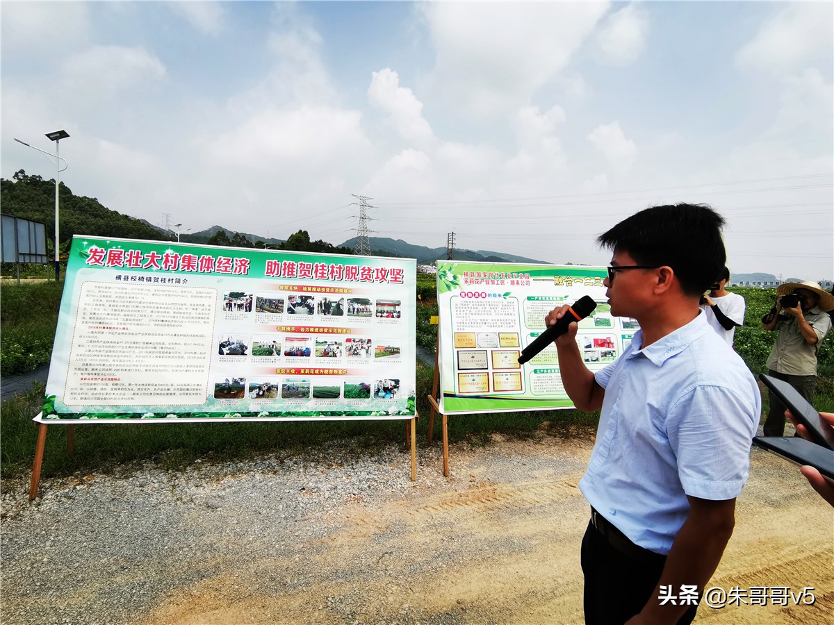 2022媒体花乡行,2023媒体花乡行