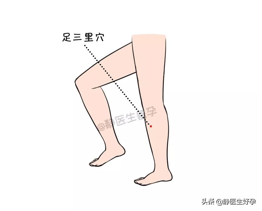 备孕可以按摩哪个穴位调理身体,备孕按摩哪个穴位最好