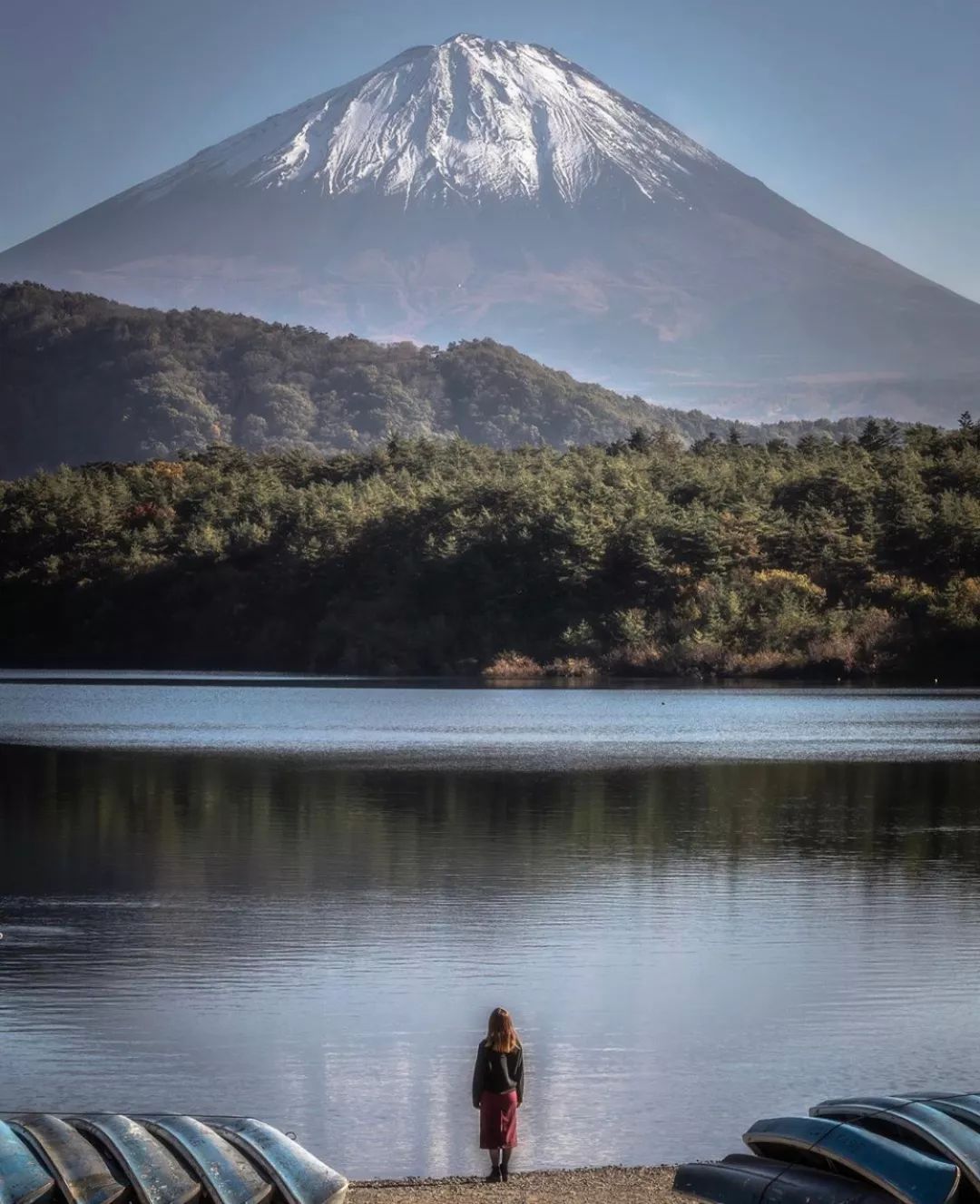养老手游2020,月兔手游攻略