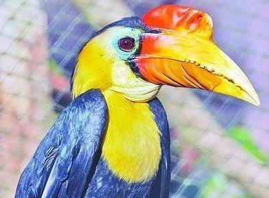 没有买卖就没有杀害这句话对吗,没有买卖就没有杀害翻译英文