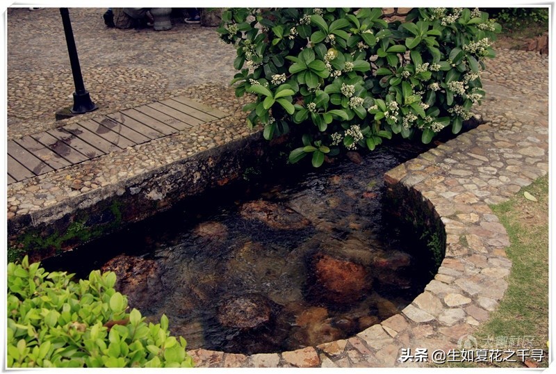 深圳市杨梅坑美人鱼拍摄基地,深圳大鹏杨梅坑美人鱼拍摄地点