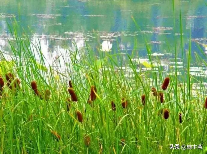 山水谢灵运诗词,李白秋登宣城谢脁北楼原诗详解