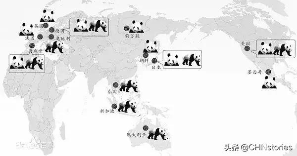 熊猫贝贝美国饲养员,海归大熊猫贝贝中国饲养员