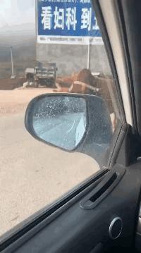 设计师脑洞大奇葩设计,脑洞大的设计师奇葩设计