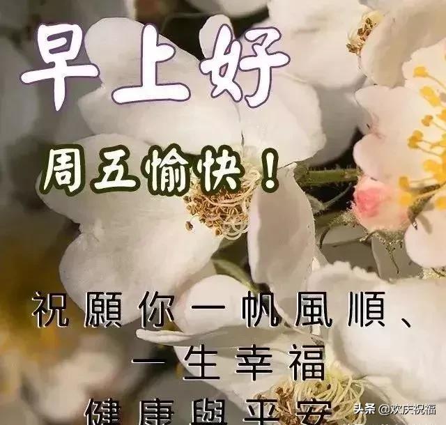 老同学春天暖心祝福语早上好图片,春天早上好中老年朋友问候短句