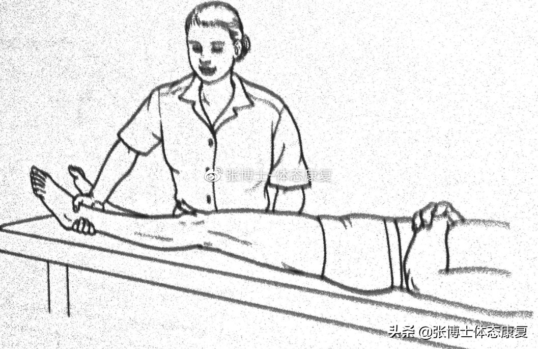 「功能训练」人体额状面稳定性与侧向子系统的关系