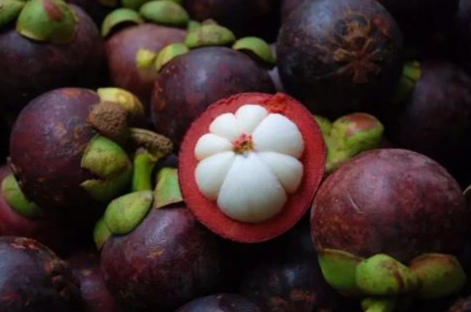 山竹水果什么人适合吃,山竹水果皇后的功效