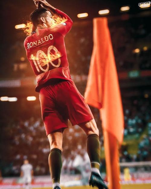 c罗菲戈沙特,菲利克斯和菲戈的关系