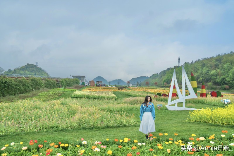 百里杜鹃花开如海,百里杜鹃百里盛开