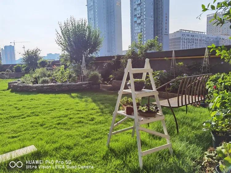 第七届园丁奖,第六届园丁奖奖励