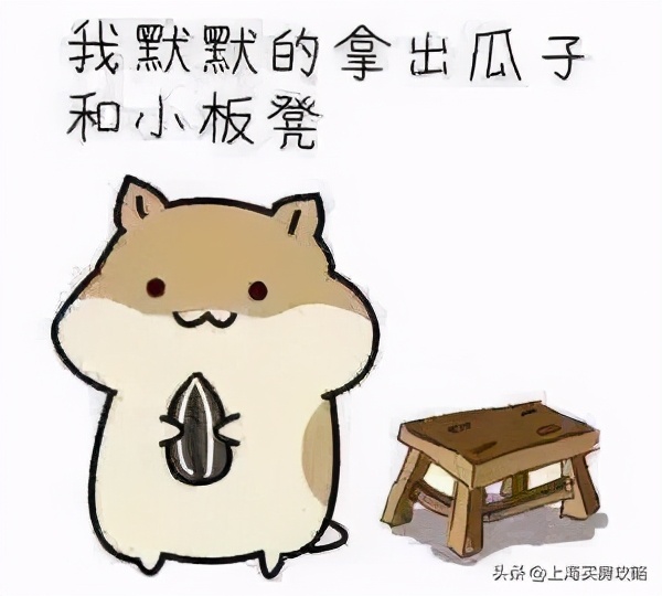 杨超越临港落户,锦鲤杨超越