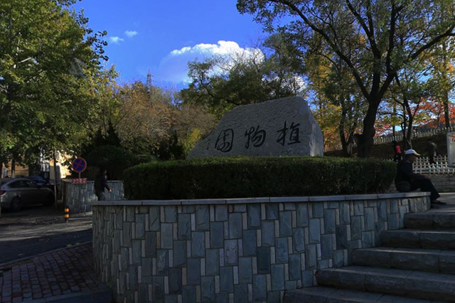 大连莲花山公园槐花,大连石门山哪里有槐花