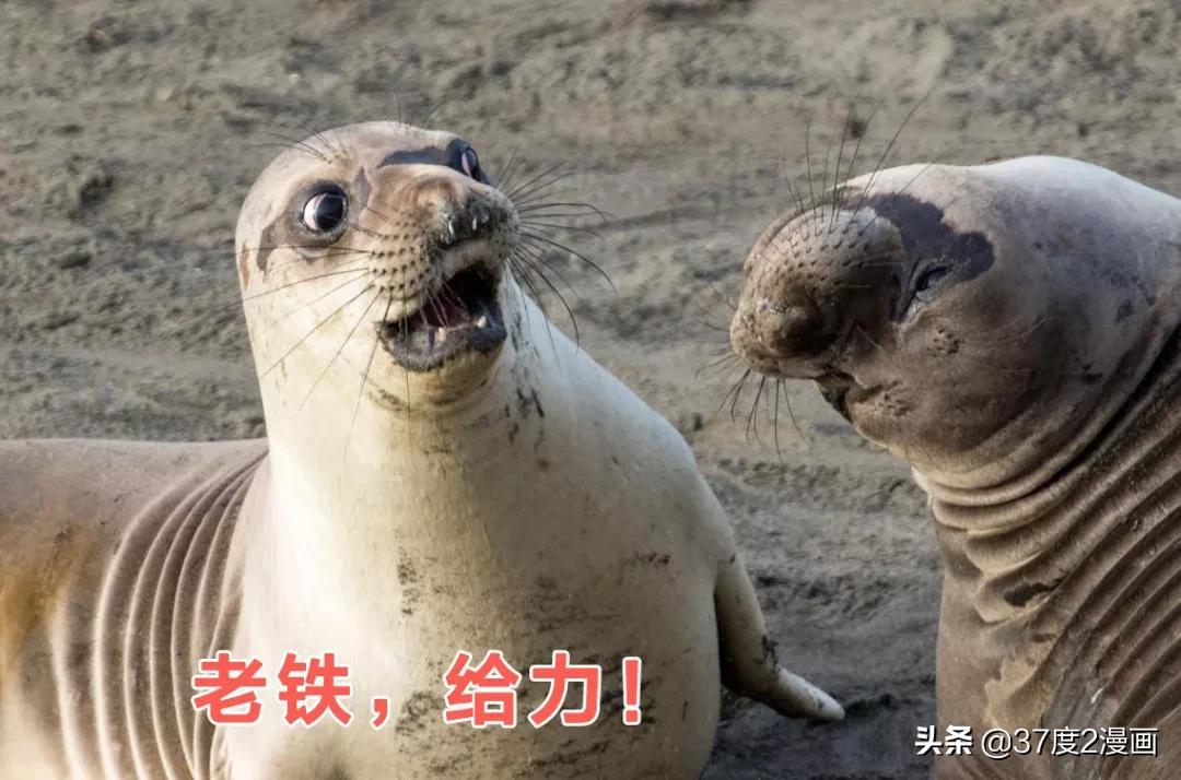 三国没你想象的落后！解方程、球体公式、飞行器了解下吧