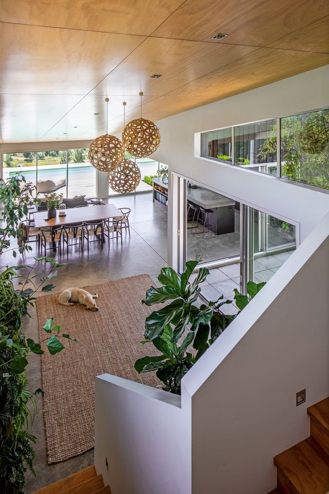 在新西兰奥克兰生活,在新西兰生活的优势