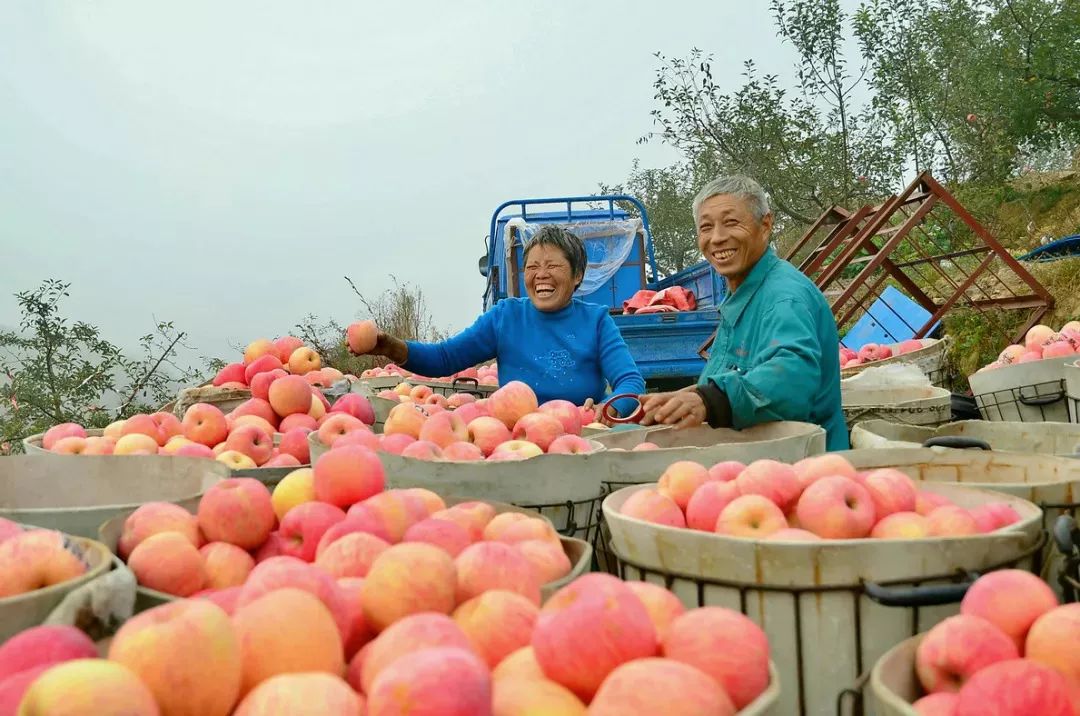 商丘五星级酒店投资多少钱,商丘星级酒店项目