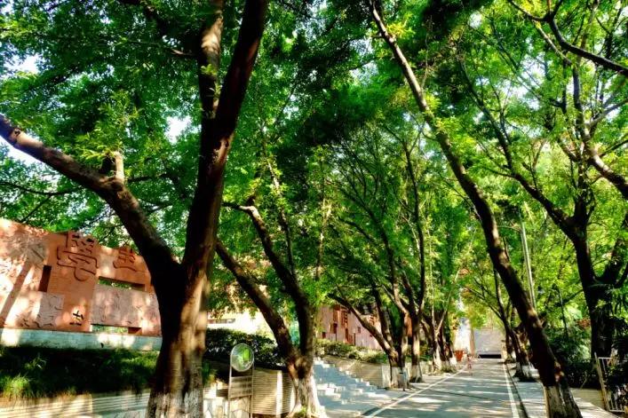 重庆一中与巴蜀中学哪个好,重庆一中全校前十名