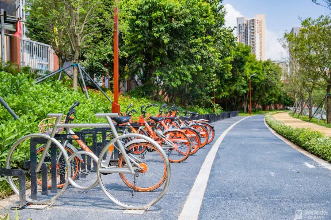 盼了1年！南山新地标“塞纳河”惊艳露面